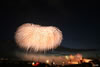 2009年 長岡の大花火｀０９　８月３日 写真集 | VINZ | ナイアガラ超大型スターマイン